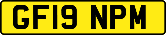 GF19NPM