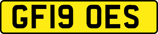 GF19OES