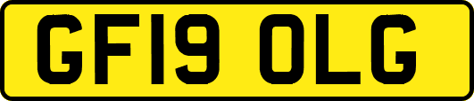 GF19OLG