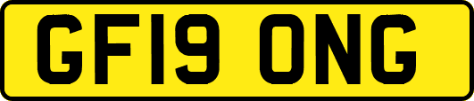 GF19ONG