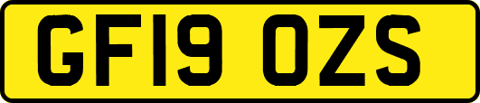 GF19OZS