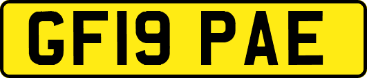 GF19PAE