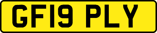 GF19PLY