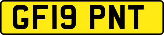GF19PNT