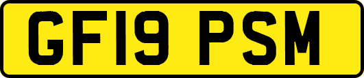 GF19PSM