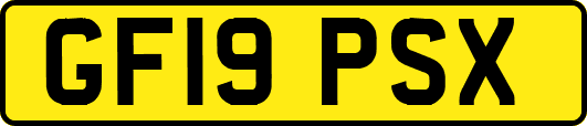 GF19PSX