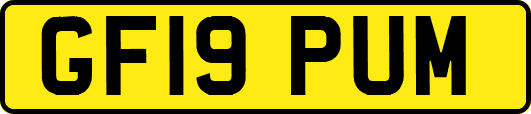 GF19PUM