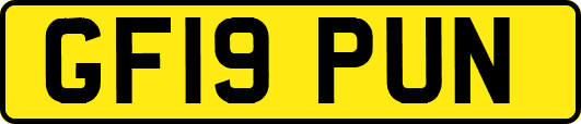 GF19PUN