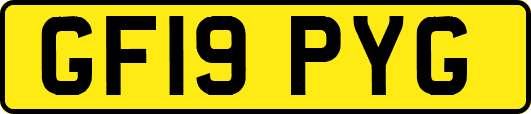 GF19PYG