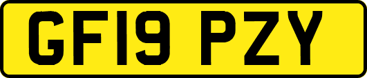 GF19PZY