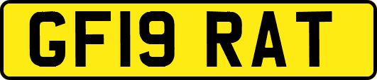 GF19RAT