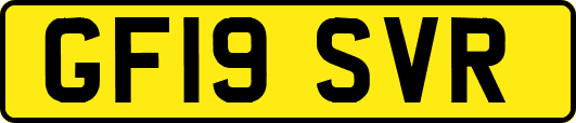 GF19SVR