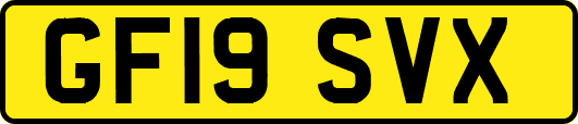 GF19SVX