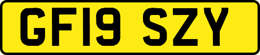 GF19SZY