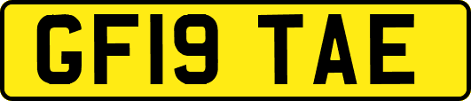 GF19TAE