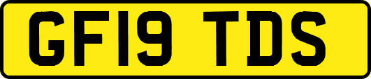 GF19TDS