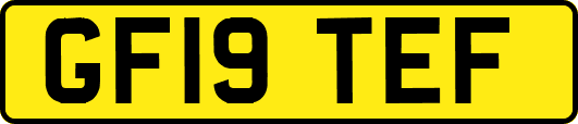 GF19TEF