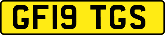 GF19TGS