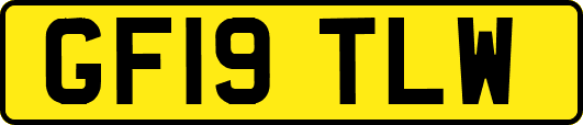 GF19TLW
