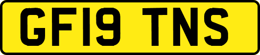 GF19TNS