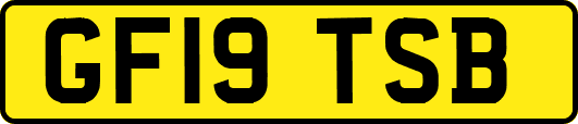 GF19TSB