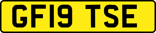 GF19TSE