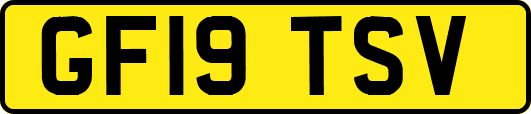GF19TSV