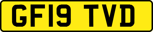 GF19TVD