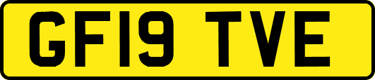 GF19TVE