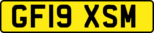 GF19XSM