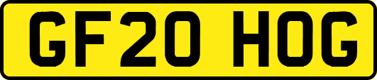 GF20HOG