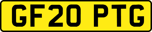 GF20PTG