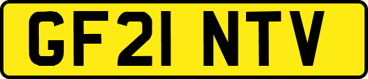 GF21NTV