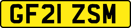 GF21ZSM