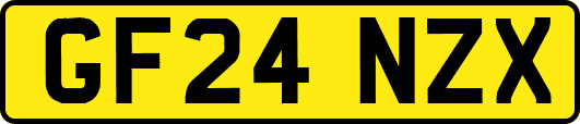 GF24NZX