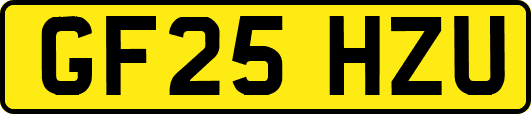 GF25HZU