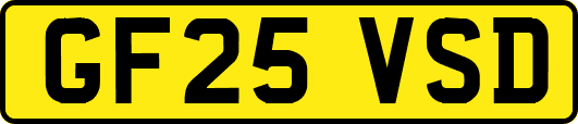 GF25VSD