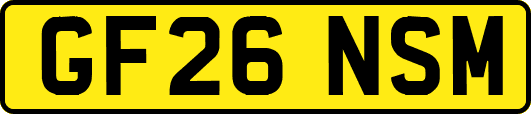 GF26NSM