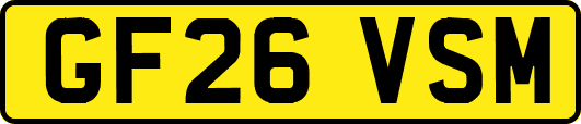 GF26VSM