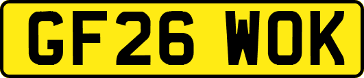 GF26WOK