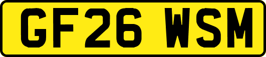 GF26WSM