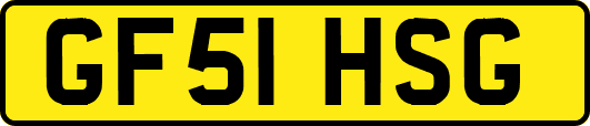 GF51HSG