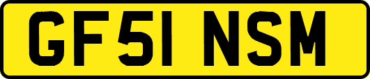 GF51NSM