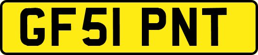 GF51PNT