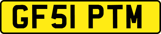 GF51PTM