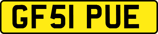 GF51PUE