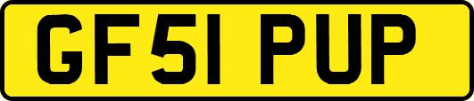GF51PUP