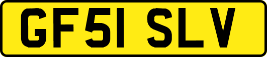 GF51SLV