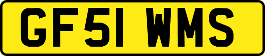 GF51WMS