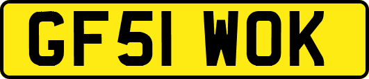 GF51WOK